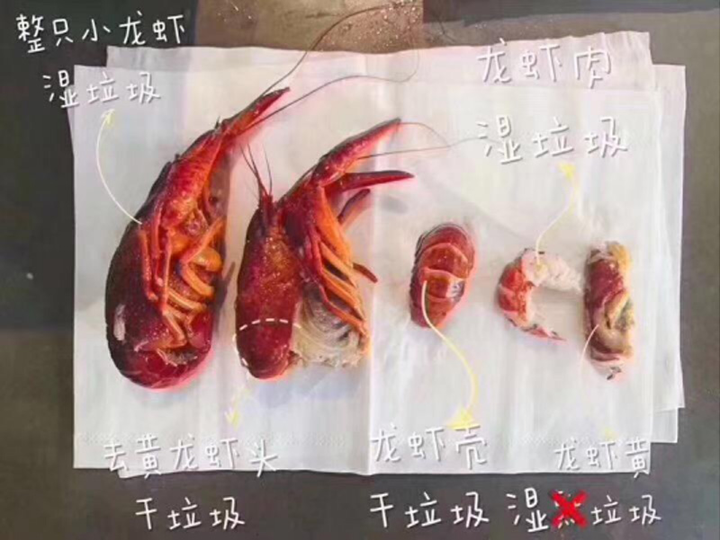 為何垃圾分類(lèi)逐漸被全國(guó)各地提上日程配圖一
